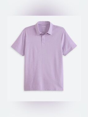 01.ALGO AlgoFlex Jack 2.0 Polo Purple Large NWT STITCH FIX